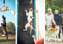 Druskininkus garsina ir sportinėse rungtyse dalyvaujantys šunys